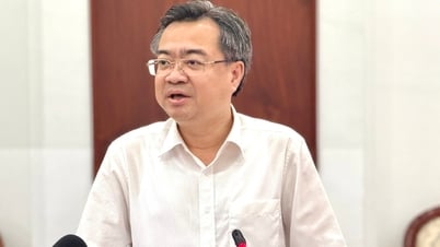 M. Nguyen Thanh Nghi : Les documents doivent évaluer en profondeur les résultats de la rationalisation de l’appareil.