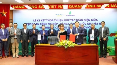 Petrovietnam và SOVICO ký kết hợp tác toàn diện, thúc đẩy phát triển năng lượng và kinh tế