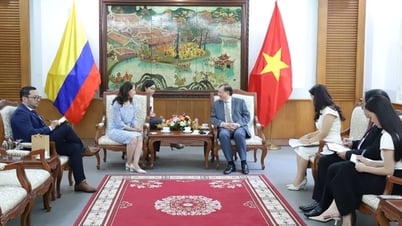 Thứ trưởng Tạ Quang Đông tiếp Đại sứ Colombia tại Việt Nam