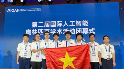 Học sinh Việt Nam đạt thành tích cao tại Olympic Trí tuệ nhân tạo quốc tế IOAI năm 2025