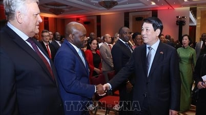President Luong Cuong attends the ceremony to celebrate the 50th anniversary of the establishment of diplomatic relations between Vietnam and Angola.