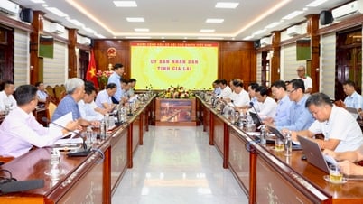 Đoàn công tác của Bộ Nông nghiệp và Môi trường làm việc với UBND tỉnh Gia Lai
