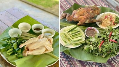 Gà nướng lá chè - món ăn độc đáo của trung du xứ Nghệ