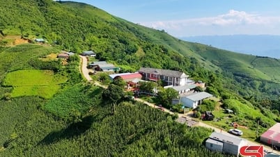 Tập trung sắp xếp tài sản công sau sáp nhập