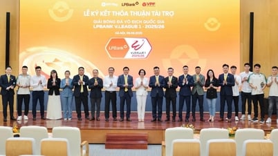 14 đội bóng sẵn sàng cho mùa giải V-League 2025-26