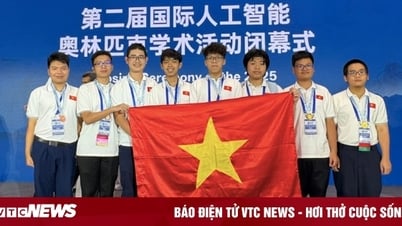 8 học sinh Việt Nam giành 7 huy chương Olympic AI quốc tế