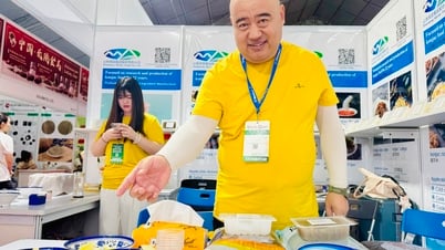 Người dân TP.HCM thưởng thức món ngon tại sự kiện ẩm thực Trung - Việt