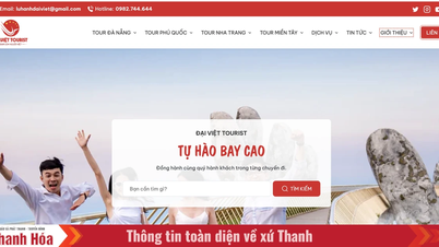 Top 5 tour trong ngày tại Đà Nẵng chọn ngay cùng Đại Việt Tourist