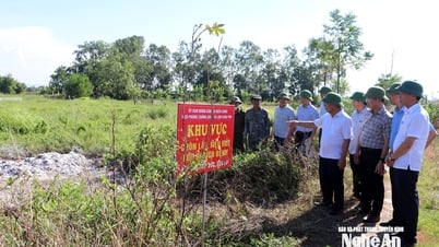 Nghệ An tập trung mọi nguồn lực, xử lý dứt điểm các ổ dịch tả lợn châu Phi