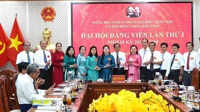 Đồng chí Lê Hồng Thắm giữ chức Bí thư Đảng ủy Cơ quan Đoàn đại biểu Quốc hội và HĐND tỉnh An Giang