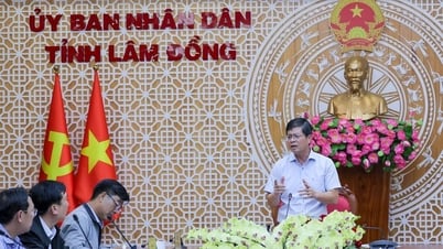 Lâm Đồng tăng tốc xây dựng 8 khu tái định cư phục vụ Dự án đường sắt cao tốc Bắc – Nam