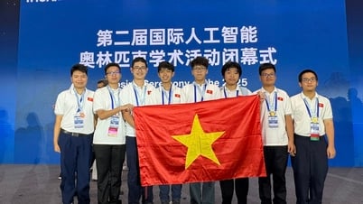 Học sinh Việt Nam giành 3 huy chương vàng Olympic trí tuệ nhân tạo quốc tế