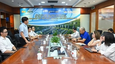 Báo Dân trí và Bolt Event hợp tác CEO Group tổ chức các giải đấu Aqua Warriors Vân Đồn 2025