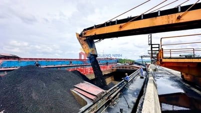 TKV tăng cường quản lý chất lượng than 