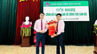 Bổ nhiệm Giám đốc Chi nhánh Ngân hàng Chính sách xã hội tỉnh Tuyên Quang