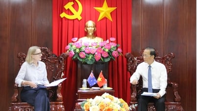 Phó Chủ tịch UBND tỉnh- Nguyễn Trúc Sơn tiếp và làm việc với đoàn công tác của Tổng Lãnh sự quán Úc tại TP Hồ Chí Minh