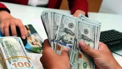 Ngày 8-8: Tỷ giá trung tâm VND/USD quay đầu giảm