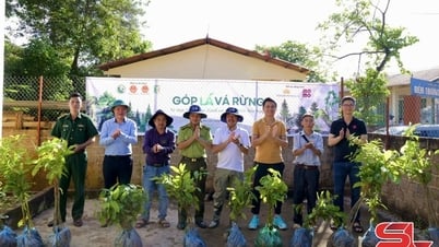 Tiếp tục hành trình “Góp lá vá rừng”