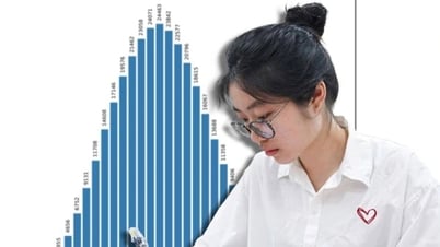 Đổi mới đề thi trước đổi mới dạy học: Rủi ro nếu "gặt lúa non"