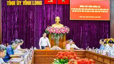 Phó Thủ tướng Trần Hồng Hà làm việc với lãnh đạo tỉnh Vĩnh Long, An Giang, Cà Mau và Đồng Tháp