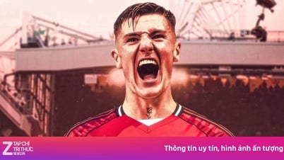 Sesko hay cỡ nào so với Gyokeres?