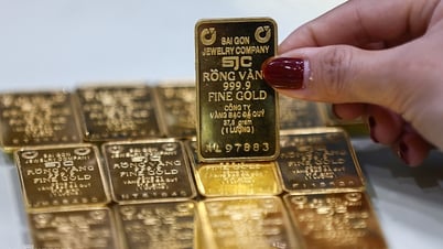 世界金協会はベトナムと国際金価格の差を縮める可能性を分析している