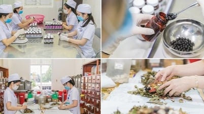 Dự kiến 13 nhiệm vụ của Bệnh viện Y học cổ truyền