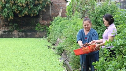 Tăng thu nhập nhờ Quỹ hỗ trợ nông dân