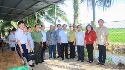 Khảo sát toàn diện tiềm năng phát triển xã Khánh Lâm