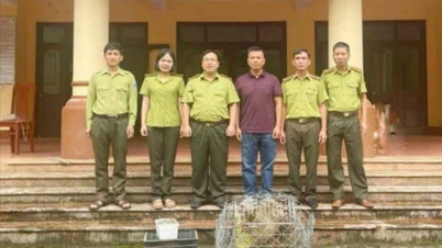 Tiếp nhận 3 cá thể động vật rừng để chăm sóc, cứu hộ