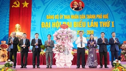 Đặt nền móng cho sự phát triển toàn diện