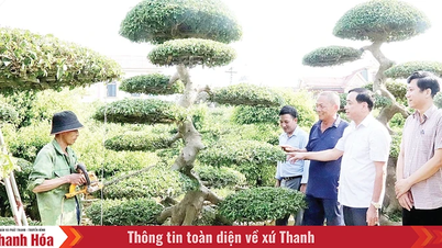Khai thác “Không gian mới, nguồn lực mới” để Định Tân trở thành xã kiểu mẫu
