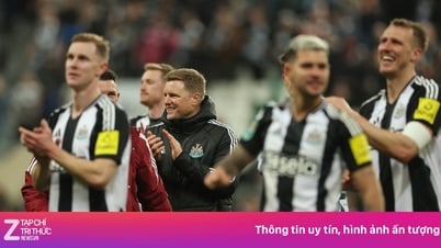Le paradoxe de Newcastle