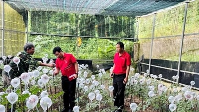 Cấp thiết đẩy vốn vào nền kinh tế