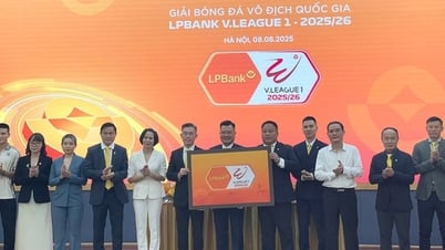 LPBank V-League 1 - 2025/26 công bố nhận diện thương hiệu mùa giải mới