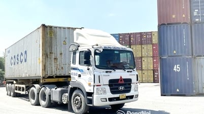 Triển vọng và thách thức của ngành logistics cảng biển
