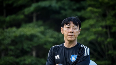 HLV Shin Tae-yong từ chức phó Chủ tịch LĐBĐ Hàn Quốc