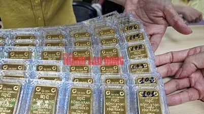 Tối 8-8, giá vàng miếng SJC chưa dừng đà tăng, lao lên đỉnh mới
