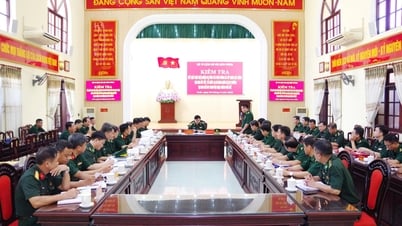 Kiểm tra kết quả thực hiện nhiệm vụ công tác biên phòng