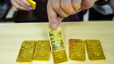 Hội đồng Vàng thế giới phân tích khả năng thu hẹp chênh lệch giá vàng Việt Nam và quốc tế