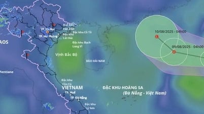 Công điện của Bộ Xây dựng: Quản lý chặt chẽ việc tàu thuyền ra khơi