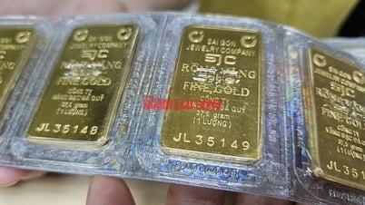 Giá vàng miếng SJC lập đỉnh, người dân vẫn chịu chi mua vào