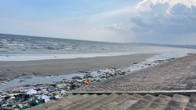 Người dân, doanh nghiệp dọn rác trên bãi biển tỉnh...
