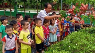 Đưa cây xanh, hoa cỏ vào không gian trường học