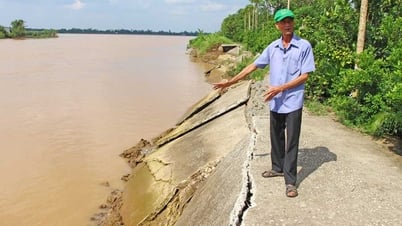 Khẩn trương khắc phục sạt lở tại xã Quới Thiện