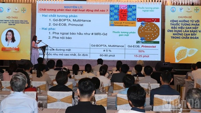 Update on medical advances in imaging diagnosis and treatment of hepatobiliary diseases