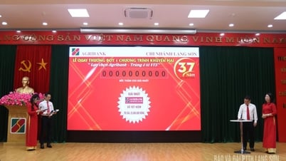 37 khách hàng trúng thưởng chương trình “Lựa chọn Agribank – Trúng ô tô VF3”