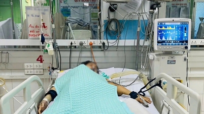 يعاني الشباب من تلف الأعضاء بسبب حمى الضنك؛ ويشير الأطباء إلى السبب.