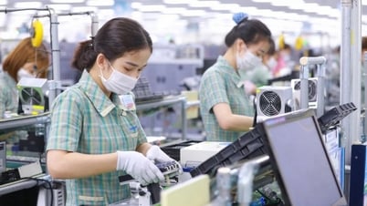 Hơn 174 nghìn doanh nghiệp gia nhập thị trường trong 7 tháng
