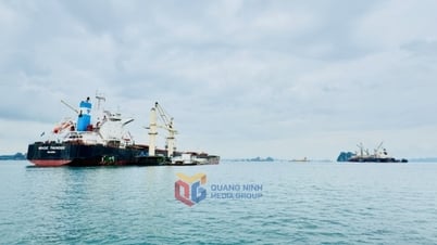 Gia tăng giá trị cảng Con Ong - Hòn Nét